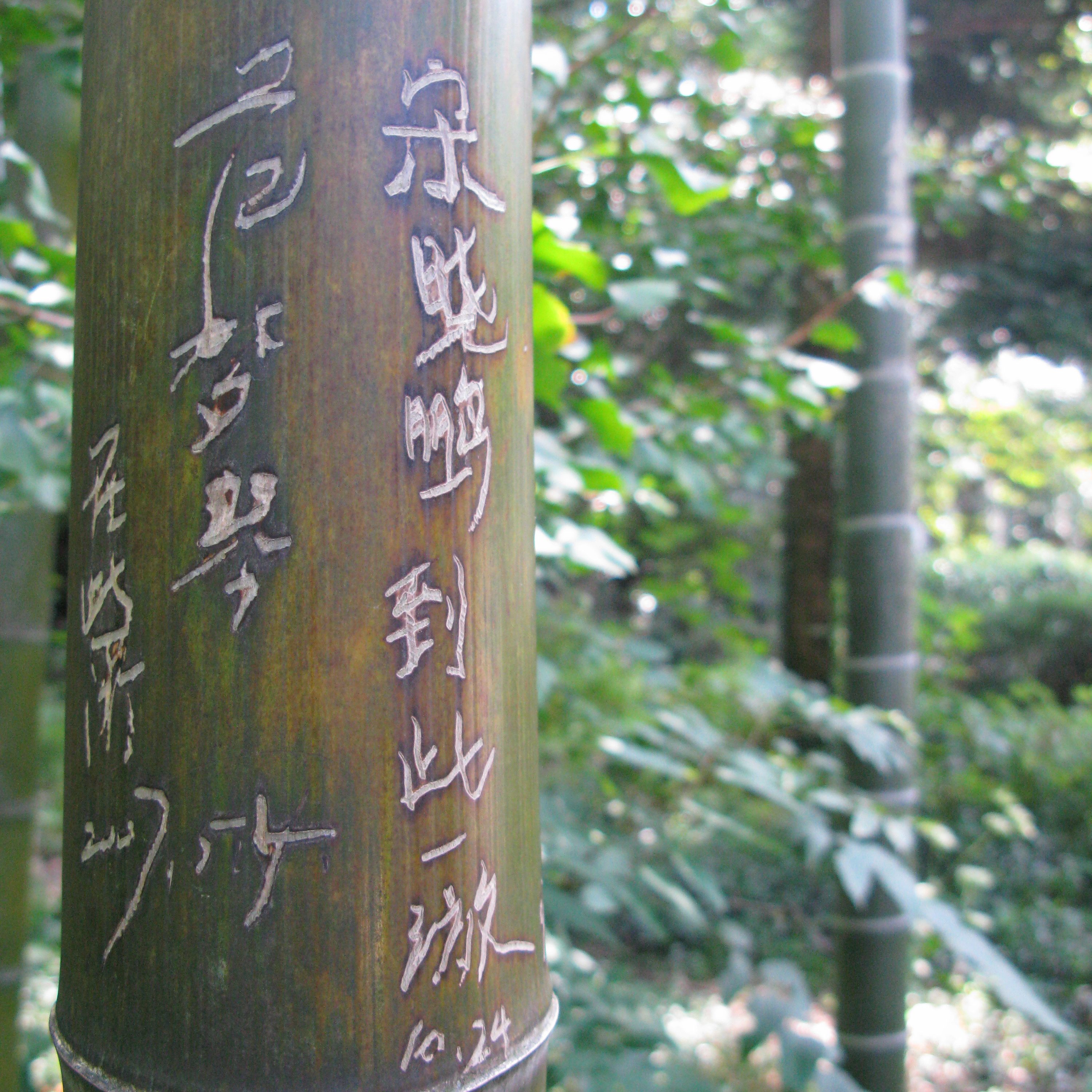acupuncture at River City Wellness